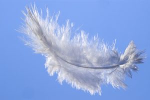 Softening & Resting